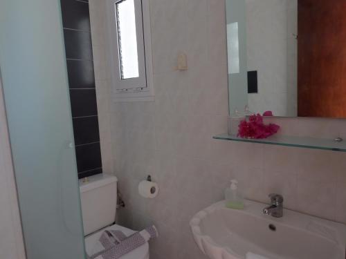 La salle de bains est pourvue d'un lavabo, de toilettes et d'un miroir. dans l'établissement Studios Nina, à Amoopi