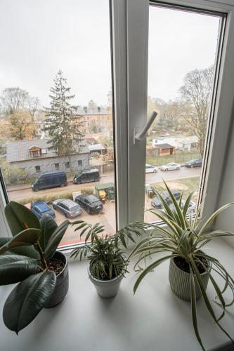Fotografija v galeriji nastanitve Nice&cozy flat No7 v Rigi