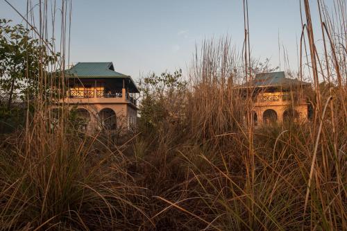 a building with a green roof in a field of tall grass at Jim's Jungle Retreat in Rāmnagar