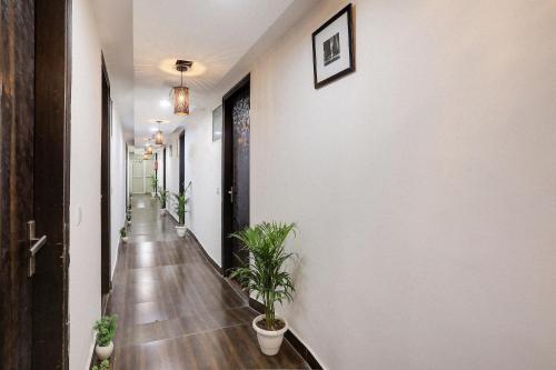 un couloir avec des plantes en pot et un couloir aux murs blancs dans l'établissement Super OYO Hotel Mannat Near Lotus Temple, à New Delhi