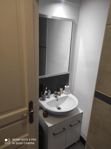 ein Badezimmer mit einem weißen Waschbecken und einem Spiegel in der Unterkunft Studio Cosy tout équipé à Lille in Lille