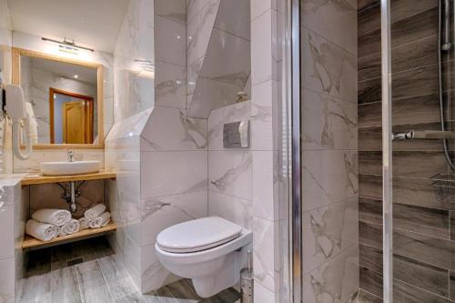 a bathroom with a toilet and a shower at Pensjonat Dawidek in Zakopane