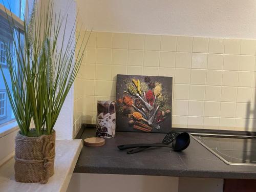 エアフルトにあるApartment am Domplatzの絵画と植物が飾られたキッチンカウンター