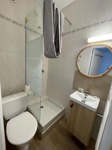 une salle de bain avec toilettes, lavabo et miroir dans l'établissement Le Pitchoun - Clim - Piscine, à Goudargues