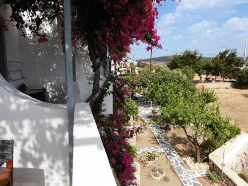 a garden with pink flowers hanging from a building at Studios Nina in Amoopi