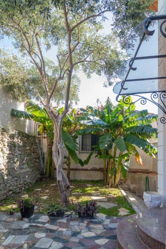 a garden with a tree and some plants at Angoni Villa in Durrës