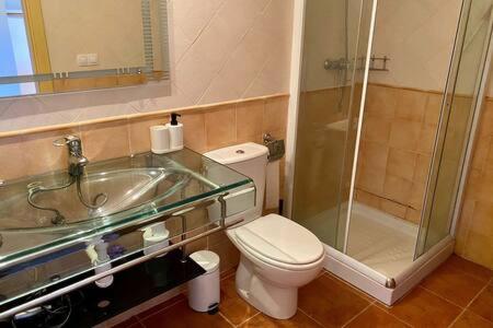 La salle de bains est pourvue de toilettes, d'un lavabo et d'une douche. dans l'établissement Apartamento Superesquí 251, à La Molina