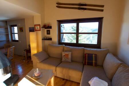 a living room with a couch and a window at Apartament Font dels Recons in La Molina