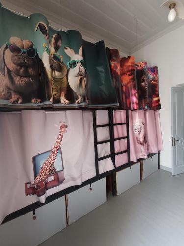 a shelf with pictures of animals and a giraffe at Tribes - Upscale City Centre Hostel in Rhodes Town