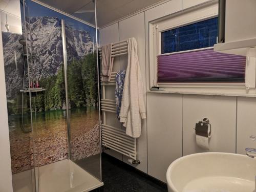 uma casa de banho com um chuveiro, um lavatório e uma janela em Gisela Müller Ferienwohnung em Oberkirch