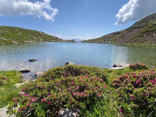 a lake with pink flowers in front of a mountain at Sturmhof in Chiusa