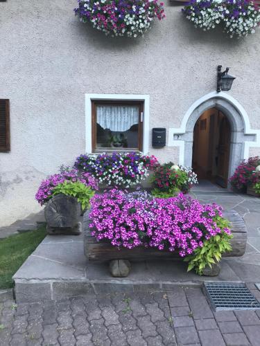 a bunch of flowers in front of a building at Sturmhof in Chiusa