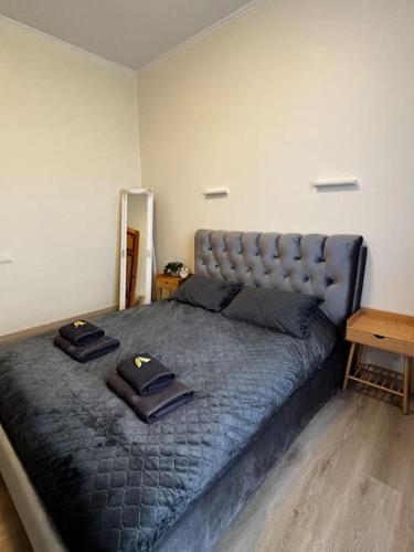 1 dormitorio con 1 cama grande y 2 almohadas en Central Apartment, en Jelgava