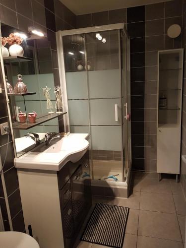une salle de bain avec un lavabo et une douche dans l'établissement T2 coquet proche plages, port et centre ville, au Golfe-Juan