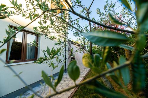 a house with a window in a garden at House "Mediterrian spirit" with jacuzzi in Zadar in Zadar
