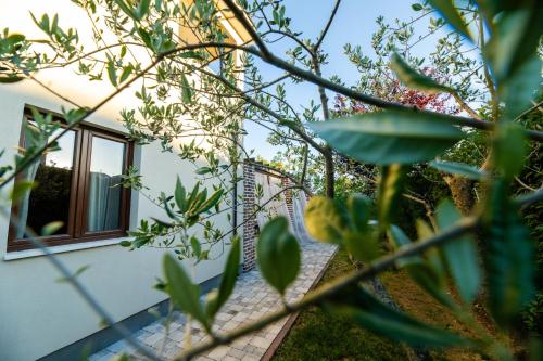 a house with a window in a garden at House "Mediterrian spirit" with jacuzzi in Zadar in Zadar