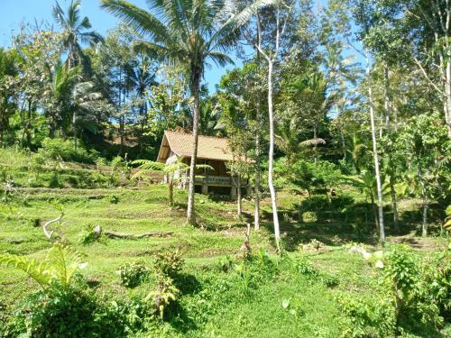 a small house in a field with palm trees at duegoal farmhouse in Jatiluwih