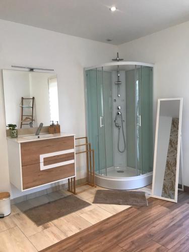 聖迪濟耶的住宿－La Suite en Or，一间带玻璃淋浴和水槽的浴室