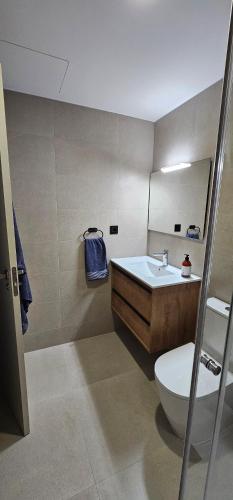 a bathroom with a sink and a toilet and a mirror at Mirador de Cerler in Benasque