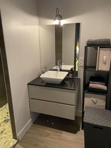 une salle de bain avec un lavabo et un miroir dans l'établissement Maison de 250 m2 avec SPA à Arcachon, à Arcachon