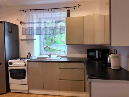 a kitchen with a sink and a stove and a window at Apartament Alma in Srebrna Góra