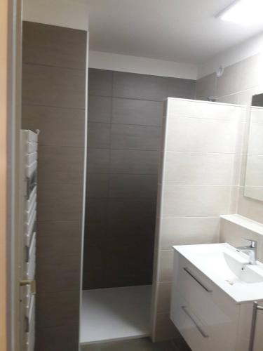 une salle de bain avec une douche avec un lavabo et un miroir dans l'établissement APPT 2 PIECES 52m² + LOGGIA 7m² REF 4023, à Le Castellas