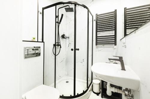La salle de bains est pourvue d'une douche, de toilettes et d'un lavabo. dans l'établissement Wyjątkowe apartamenty w Centrum, à Wrocław