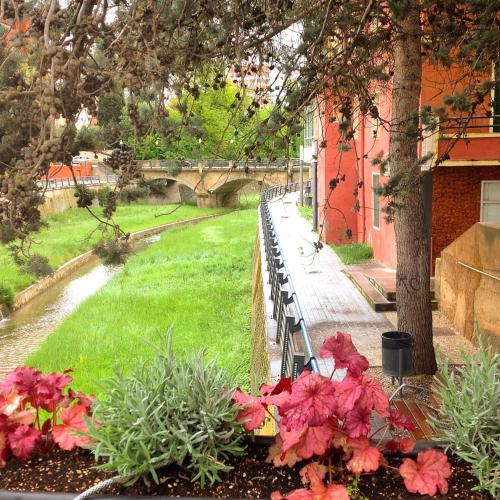 a row of benches next to a river with flowers at Hostal Pirineos in Barbastro