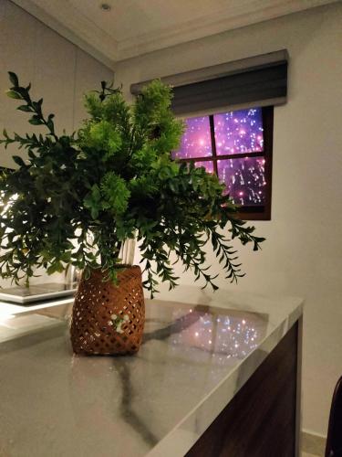 a plant in a vase sitting on top of a counter at Sea Sunset Hotel Phu Quoc - Welcome to a mixing world of friends in Phu Quoc