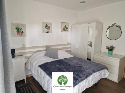 a bedroom with a bed and a mirror at Quinta das Carbonças in Fafe