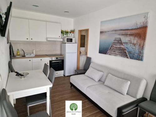 a kitchen and a living room with a couch and a table at Quinta das Carbonças in Fafe