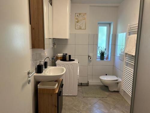 ein Bad mit einem Waschbecken und einem WC in der Unterkunft Charmanter Rückzugsort in Schwertberg in Schwertberg