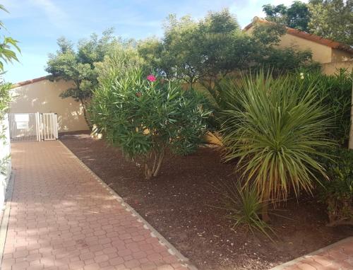 un jardin avec des plantes et un trottoir en briques dans l'établissement Appartement Saint Cyprien Port, à Saint-Cyprien