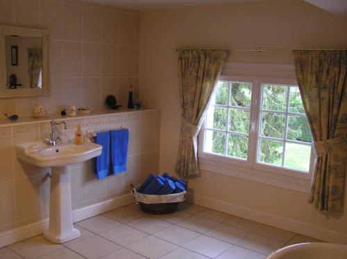 baño con lavabo y ventana en Le Renard Chambres d'hotes en Vézières