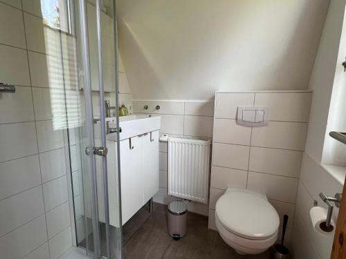 uma pequena casa de banho com WC e chuveiro em Ostseeferienhaus Finni em Ribnitz-Damgarten