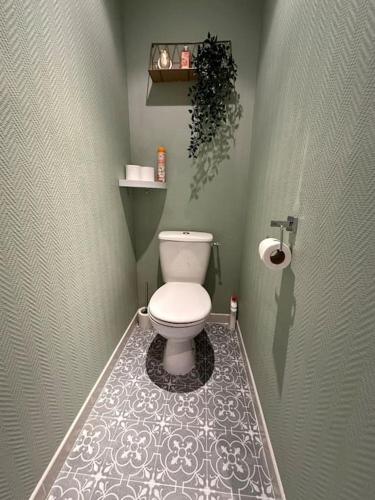 une salle de bain avec des toilettes blanches dans une chambre dans l'établissement L' Appart cocoon, à Joinville