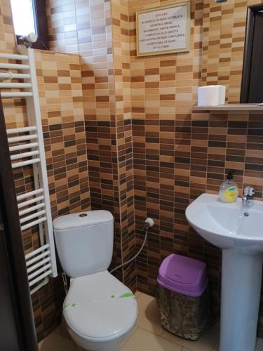 a bathroom with a toilet and a sink at NICO-ȘTEF in Vatra Dornei