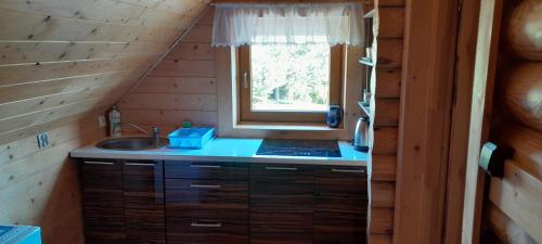 uma cozinha num chalé de madeira com um lavatório e uma janela em Sowi Dwór em Nałęczów
