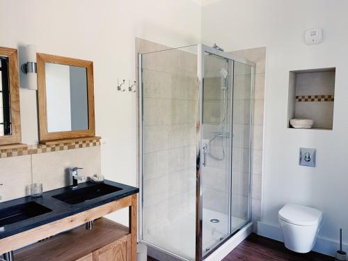 La salle de bains est pourvue d'une douche en verre et d'un lavabo. dans l'établissement CHATEAU D'APREMONT, à Apremont
