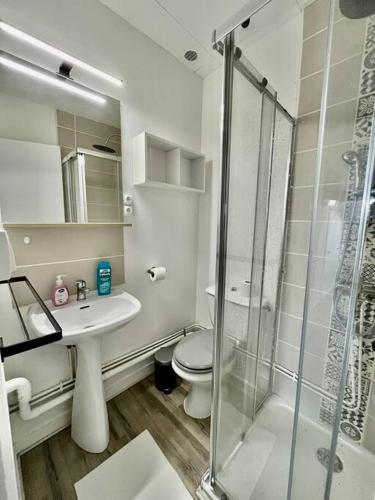 une salle de bain avec toilettes et douche en verre dans l'établissement «Studio 2» rue Huchette - DABNB, à Limoges
