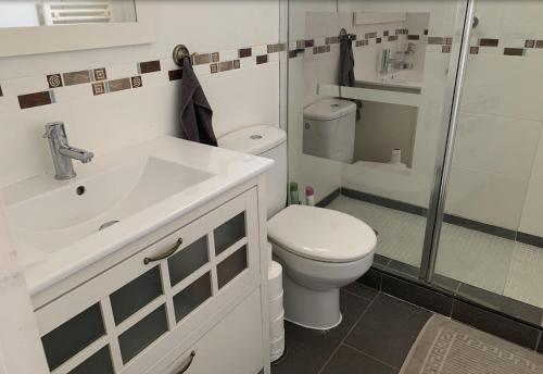 een badkamer met een toilet, een wastafel en een douche bij Las Carolinas residence in San Miguel de Salinas