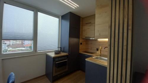 シュコダルにあるApartment Kraja Shkoderの小さなキッチン(シンク付)、窓