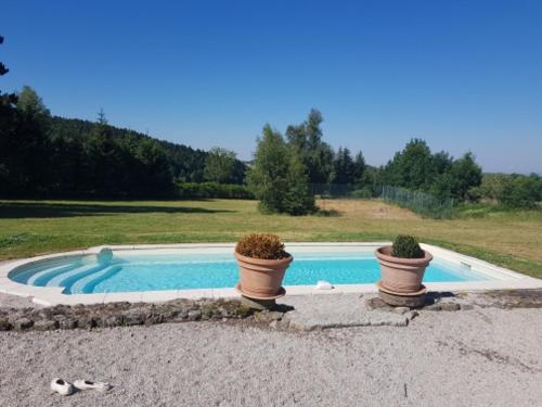 two potted plants sitting next to a swimming pool at Room lover Les Chaizes in Saint-Romain-Lachalm