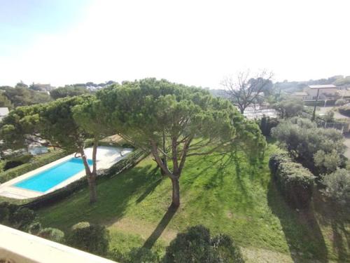 - une vue sur la piscine et un arbre dans l'établissement Studio Antibes Piscine Wifi, à Antibes
