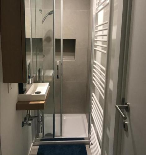 une douche avec une porte en verre à côté d'un lavabo dans l'établissement Business Accommodation 'Scandinavian Living' Nomad, à Geel