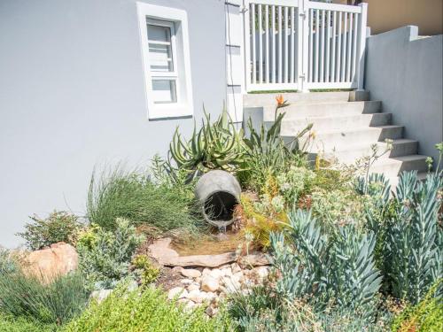 a garden in front of a house with stairs at La Dolce Vita Gordon’s Bay in Gordonʼs Bay