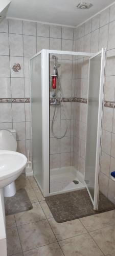 eine Dusche mit Glastür im Bad in der Unterkunft appartement indépendant privé in Mathay