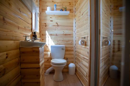 Bonnievale的住宿－Olifantskrans River Cabins，木制浴室设有卫生间和水槽