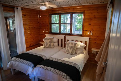 2 letti in una camera con pareti e finestre in legno di Olifantskrans River Cabins a Bonnievale