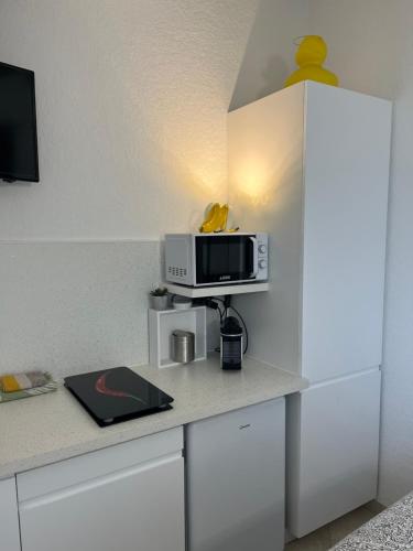 Η κουζίνα ή μικρή κουζίνα στο BEGOOD'IZ naturiste Studio indépendant au calme au coeur du village